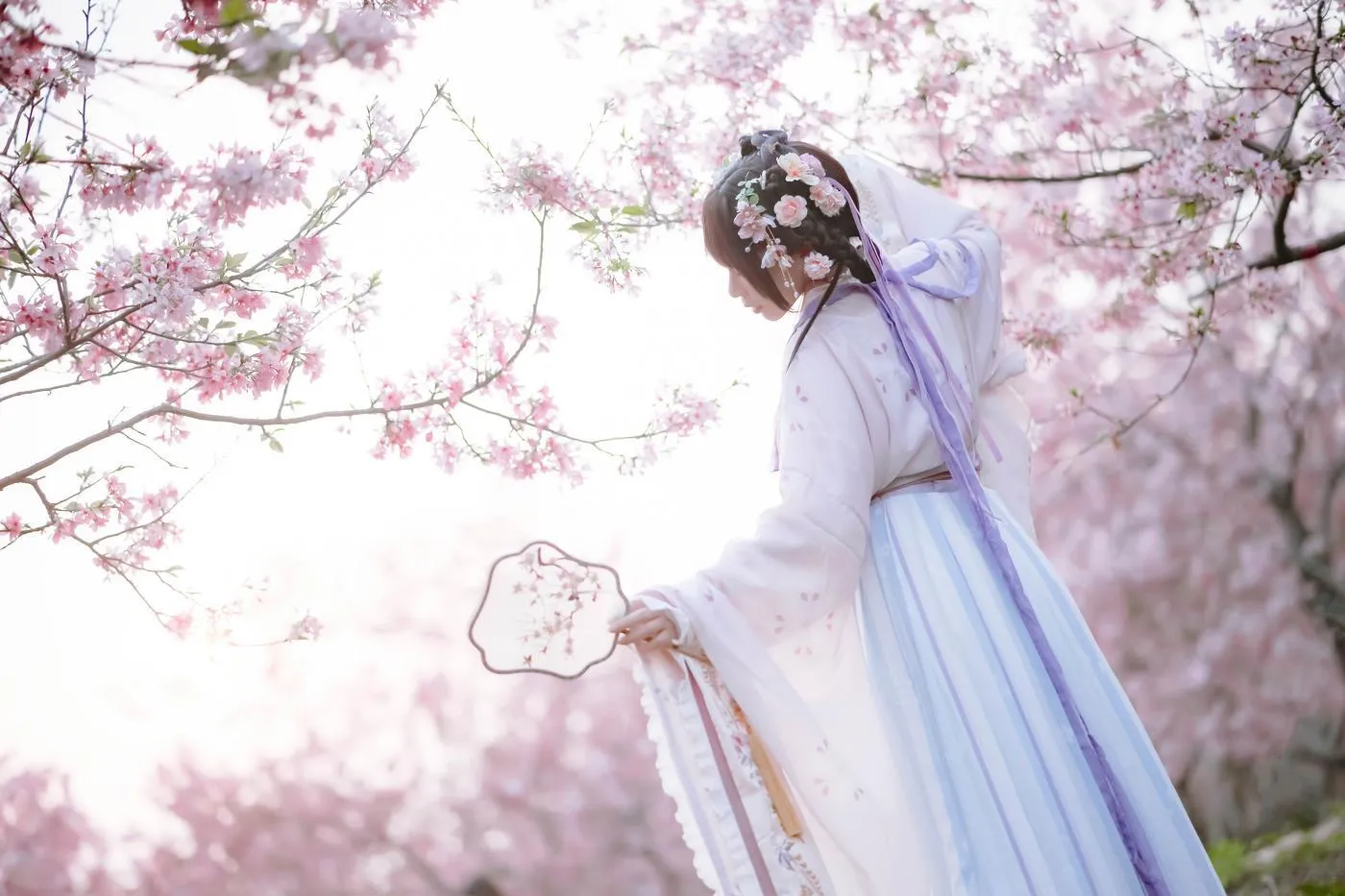 Nyako喵子 – NO.35 樱花汉服 花神祈愿 [52P]插图